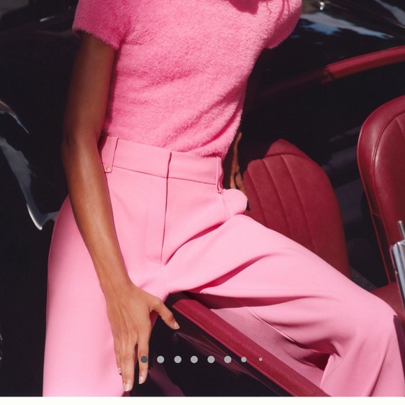 Exquise Carnation flare pants 👖 - Picture 6 of 7